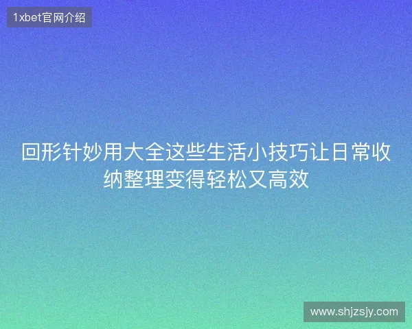 回形针妙用大全这些生活小技巧让日常收纳整理变得轻松又高效 回形针妙用大全这些生活小技巧让日常收纳整理变得轻松又高效